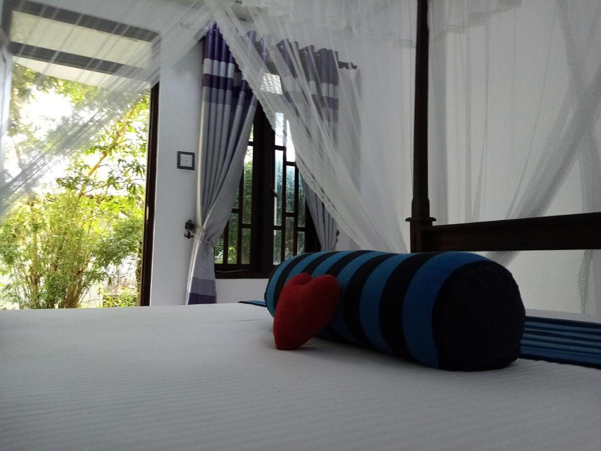 Sigiriya Danu Homestay Exterior photo