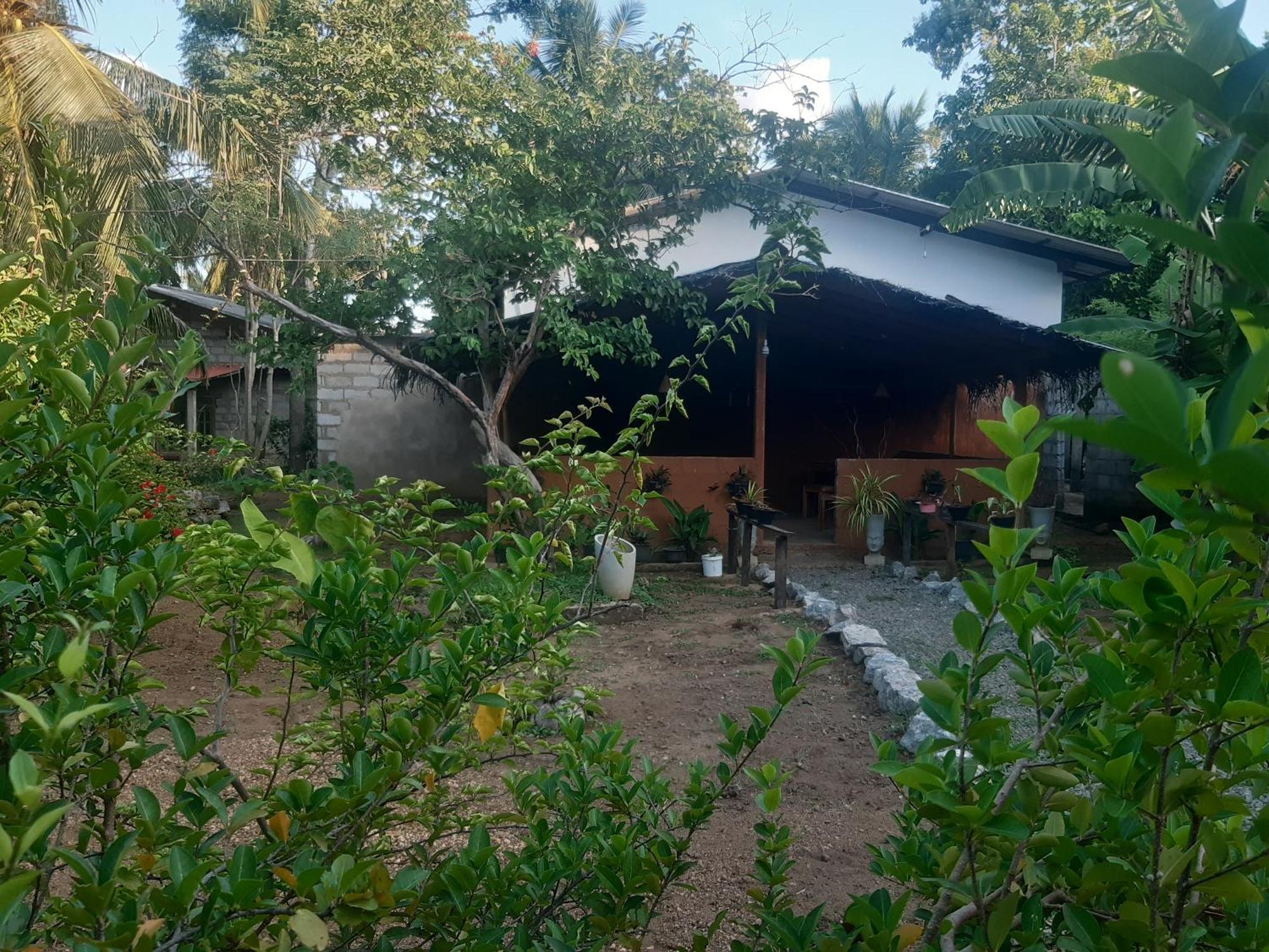 Sigiriya Danu Homestay Exterior photo