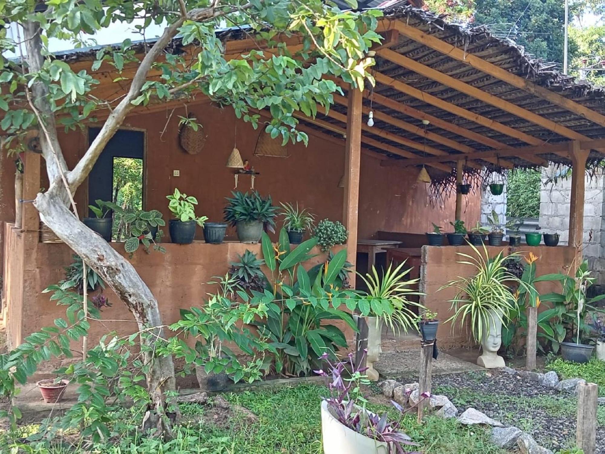 Sigiriya Danu Homestay Exterior photo